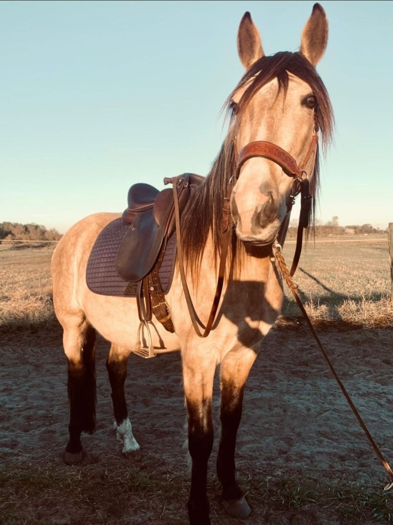 screenshot_20250620_192305_whatsapp226088125898196689